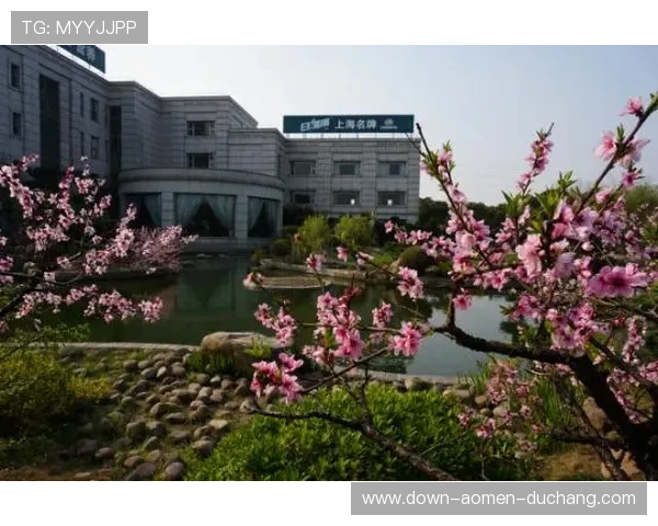 新濠国际集团在全球博彩业中的战略布局与未来发展前景分析