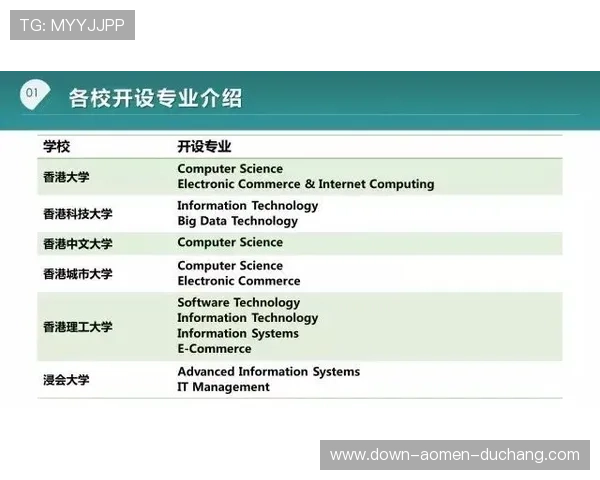 hkjc中文站：香港赛马会中文站如何提升用户体验和提供多元化的赛事资讯